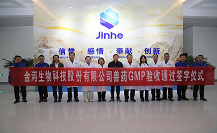 ����ʱ���������ǲ�����z6mg�������ڹ�����Ŀ�ֳ�ͨ��GMP����